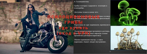 мет Алексин