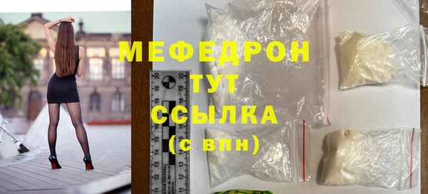 индика Пестово