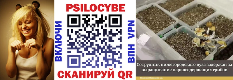 купить наркотики цена  Углич  Псилоцибиновые грибы ЛСД 